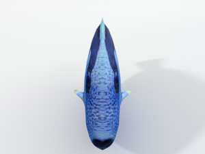 surgeonfish Modelo 3D