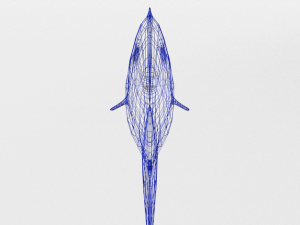 surgeonfish Modelo 3D