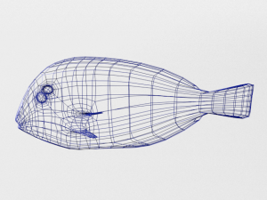 surgeonfish Modelo 3D
