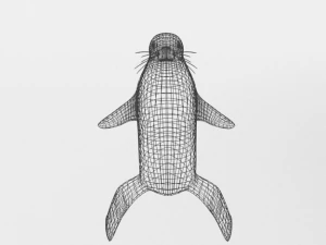 marine seal 3D Model