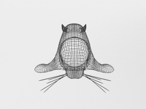 marine seal 3D Модель