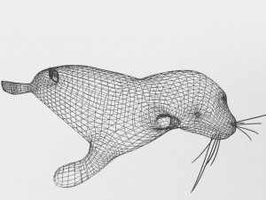 marine seal 3D Модель
