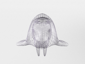 walrus 3D Model