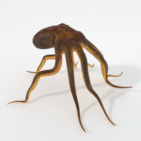 octopus 3D Model .c4d .max .obj .3ds .fbx .stl .blend 
