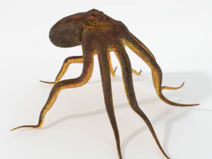 осьминог 3D Модель