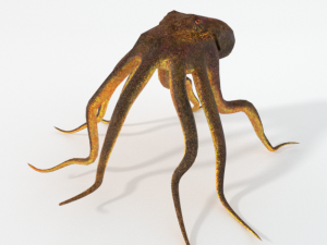 octopus 3D Model
