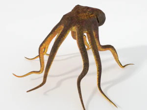 octopus 3D Model