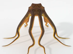 octopus 3D Model