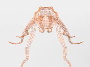 octopus 3D Model