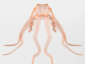 octopus 3D Model