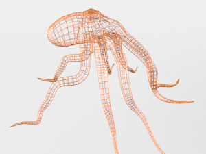 octopus 3D Model