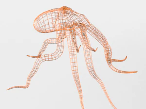 octopus 3D Model