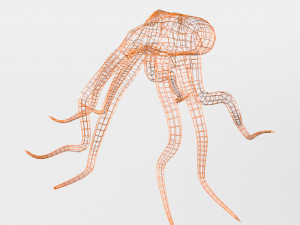 octopus 3D Model
