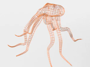 octopus 3D Model
