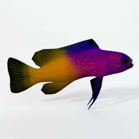 gramma loreto 3D Model .c4d .max .obj .3ds .fbx .stl .blend 