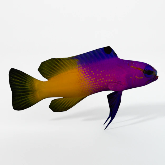 gramma loreto 3D Model .c4d .max .obj .3ds .fbx .stl .blend 
