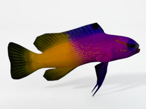 grammatica loreto Modello 3D