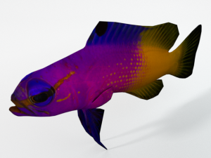 gramma loreto 3D Model