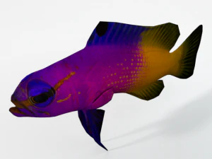 gramma loreto 3D Model