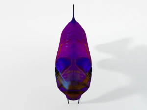 gramma loreto 3D Model