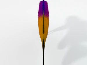 gramma loreto 3D Model