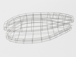 oyster 3D Modell