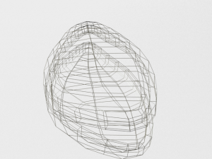 oyster 3D Modell