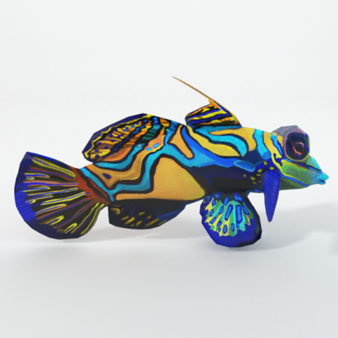 mandarin fish 3D Model .c4d .max .obj .3ds .fbx .stl .blend 
