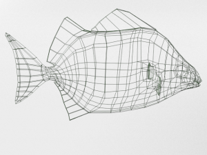 argus fish 3D Model