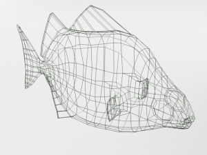 argus fish 3D Model
