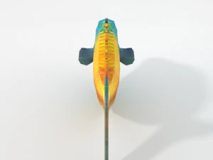 rainbow fish 3D Model