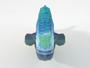 rainbow fish 3D Model