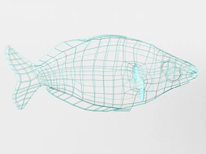 rainbow fish 3D Model