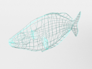 rainbow fish 3D Model
