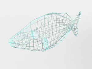 rainbow fish 3D Model