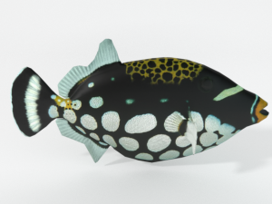 clown crossbow fish Modelo 3D