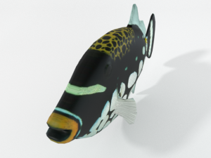 clown crossbow fish 3Dモデル
