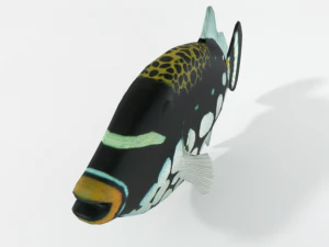 clown crossbow fish 3D Model