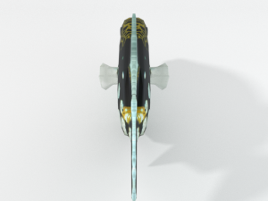 clown crossbow fish 3Dモデル