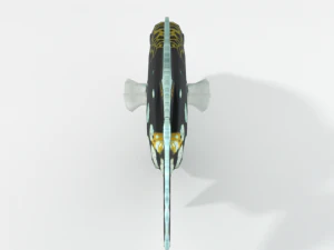 clown crossbow fish 3D Model