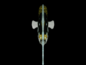 clown crossbow fish 3Dモデル