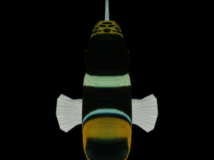 clown crossbow fish 3Dモデル