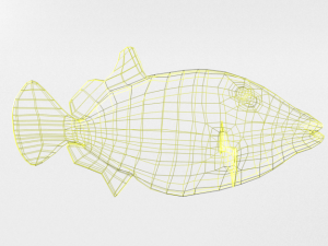 clown crossbow fish 3Dモデル