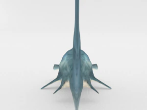hammerhead shark 3D Model
