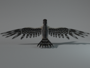 falcon Model 3D