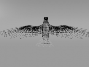 falcon Model 3D