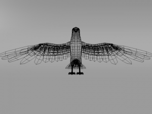 falcon Model 3D