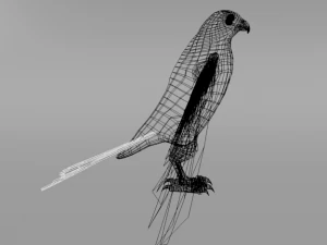 falcon 3D Model