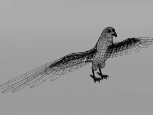 falcon Model 3D