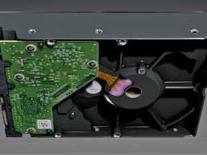 hdd sata wd10ezex 1tb 3D 모델